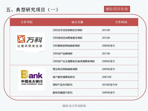 西双版纳州电子制造与食品加工项目商业计划书制作费用及策划价值分析